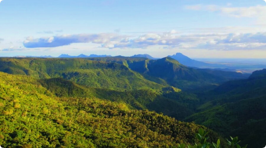Utforska Mauritius hjärta: En guide till Black River Gorges National Park