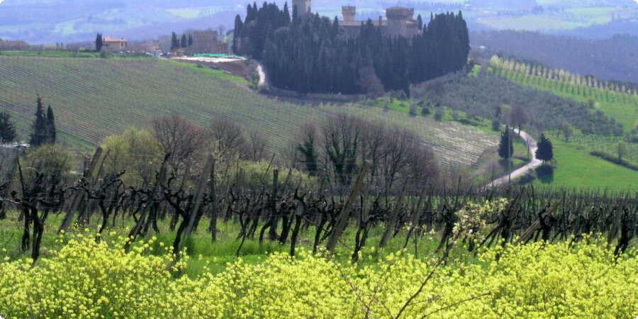 Experiences in Chianti Hills