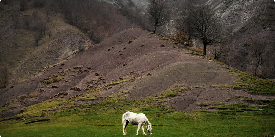 Azerbaijan's National Park Wonders