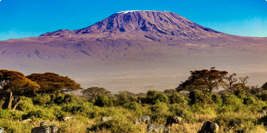 Kilimanjaro Adventure