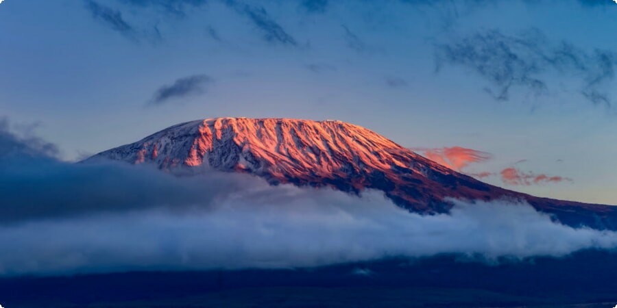 Kilimanjaro Adventure