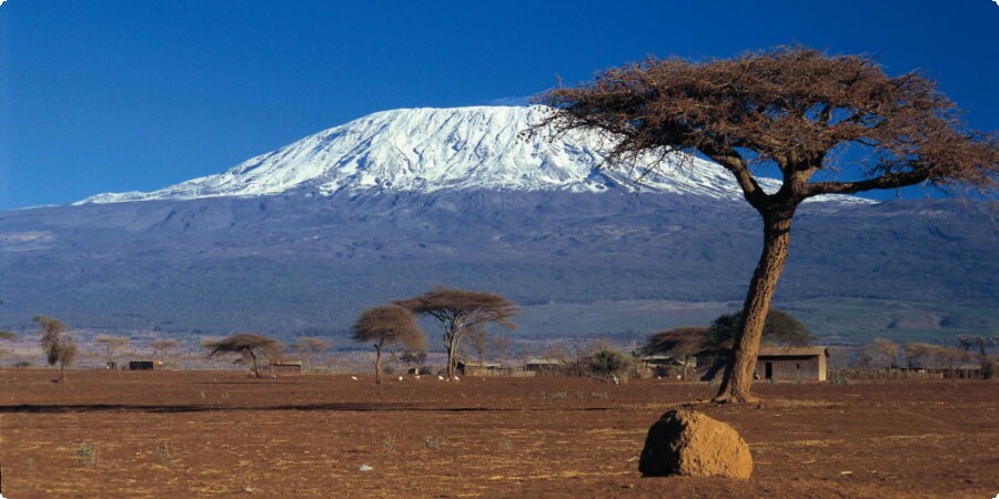 Kilimanjaro Adventure