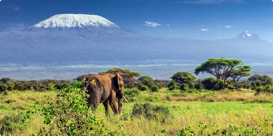 Kilimanjaro Adventure