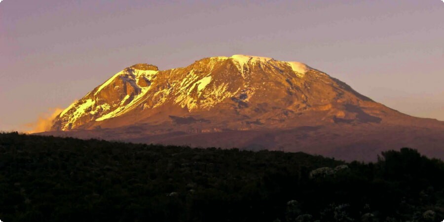 Kilimanjaro Adventure