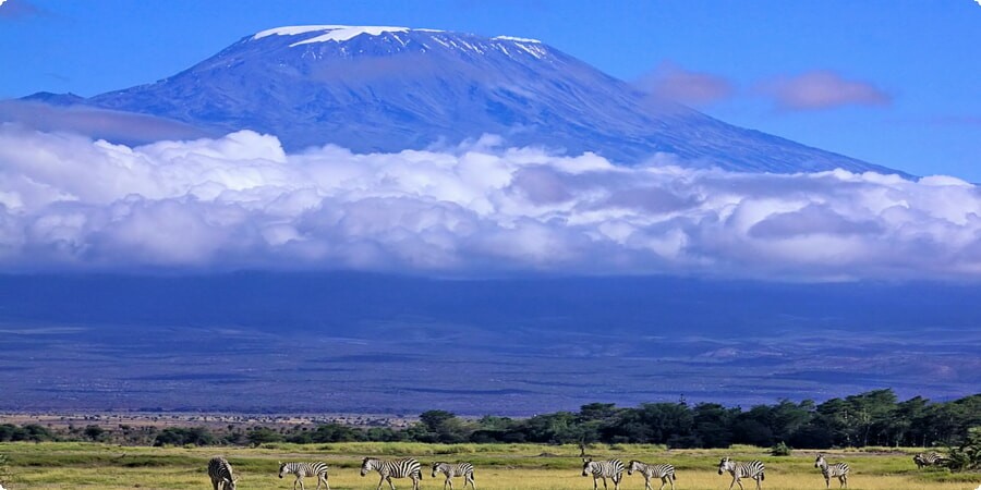 Взбираемся на высоту: определение оптимальных временных рамок для приключения на Килиманджаро