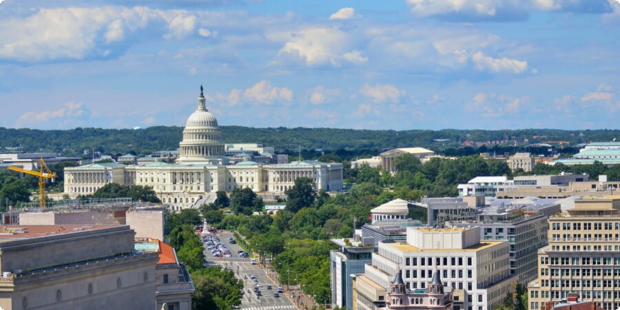 Sabor local: sumergirse en la vibrante escena de Washington, DC