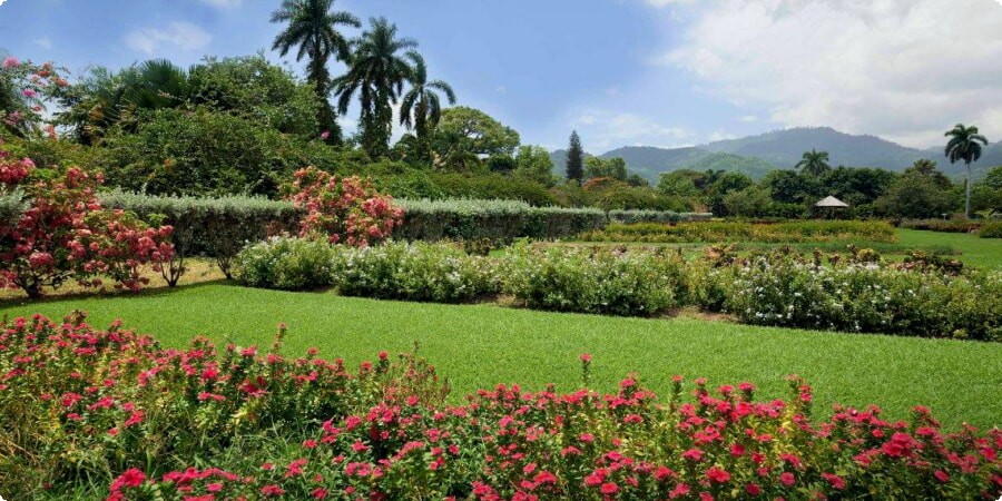 Kingston, Jamaica: Where History, Culture, and Adventure Collide