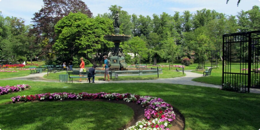 Scenic Views and Photo Spots in Halifax