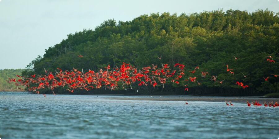 Day Trips from Barreirinhas