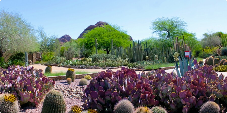 Top Must-See Attractions in Scottsdale