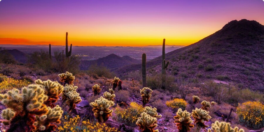 Top Must-See Attractions in Scottsdale