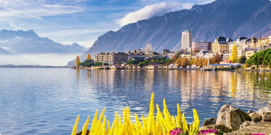 Explore Lausanne’s Diverse Offerings