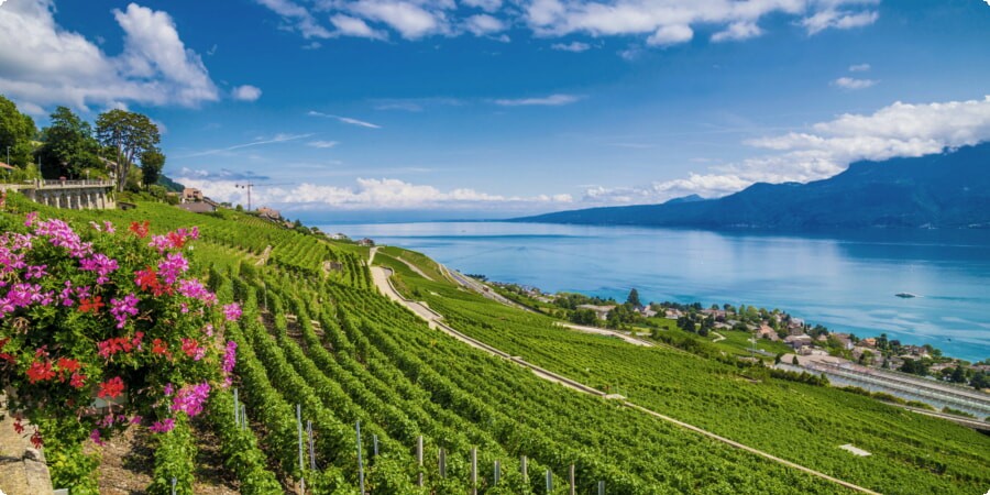 Explore Lausanne’s Diverse Offerings