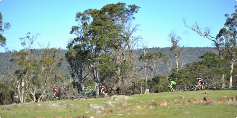 Exploring Launceston