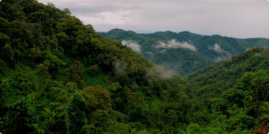 Exploring Uganda’s National Parks