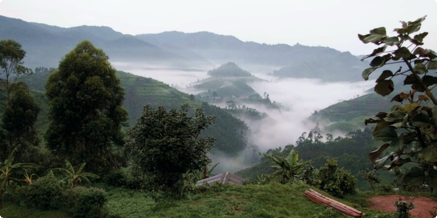 Exploring Uganda’s National Parks