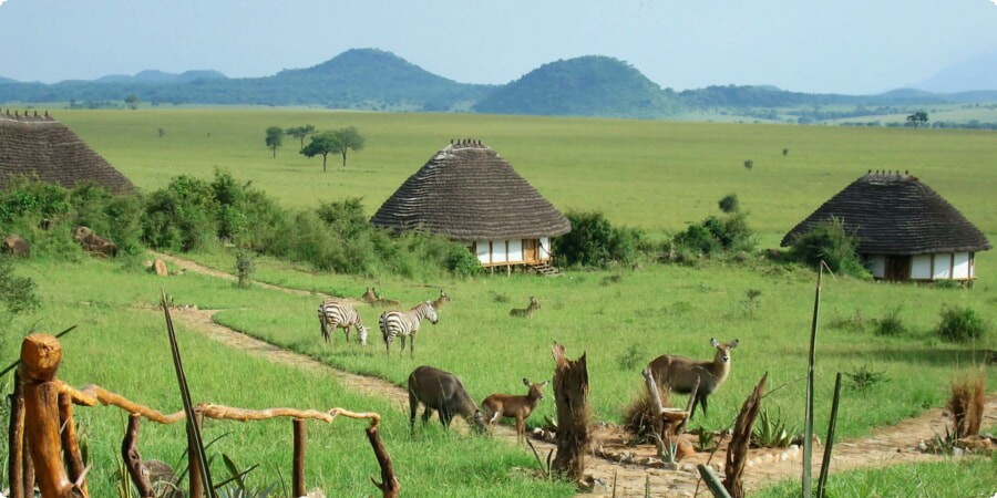 Exploring Uganda’s National Parks