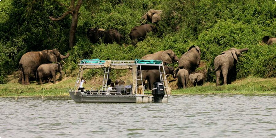 Exploring Uganda’s National Parks