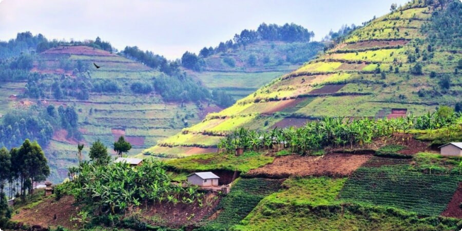 Exploring Uganda’s National Parks