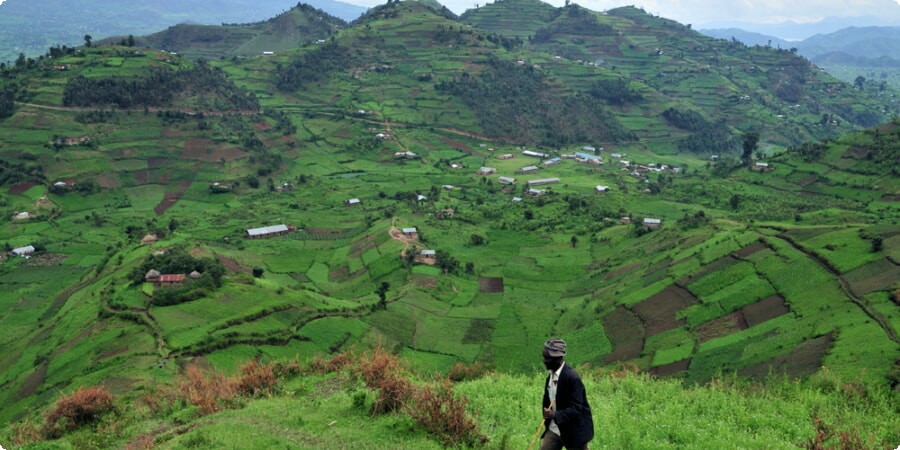 Explorando los parques nacionales de Uganda: vida silvestre, maravillas y naturaleza salvaje