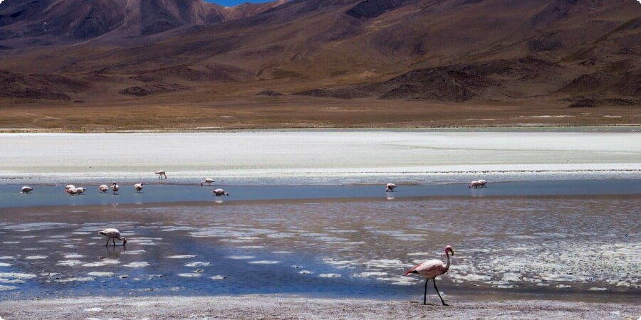 Unique Landscape of La Paz