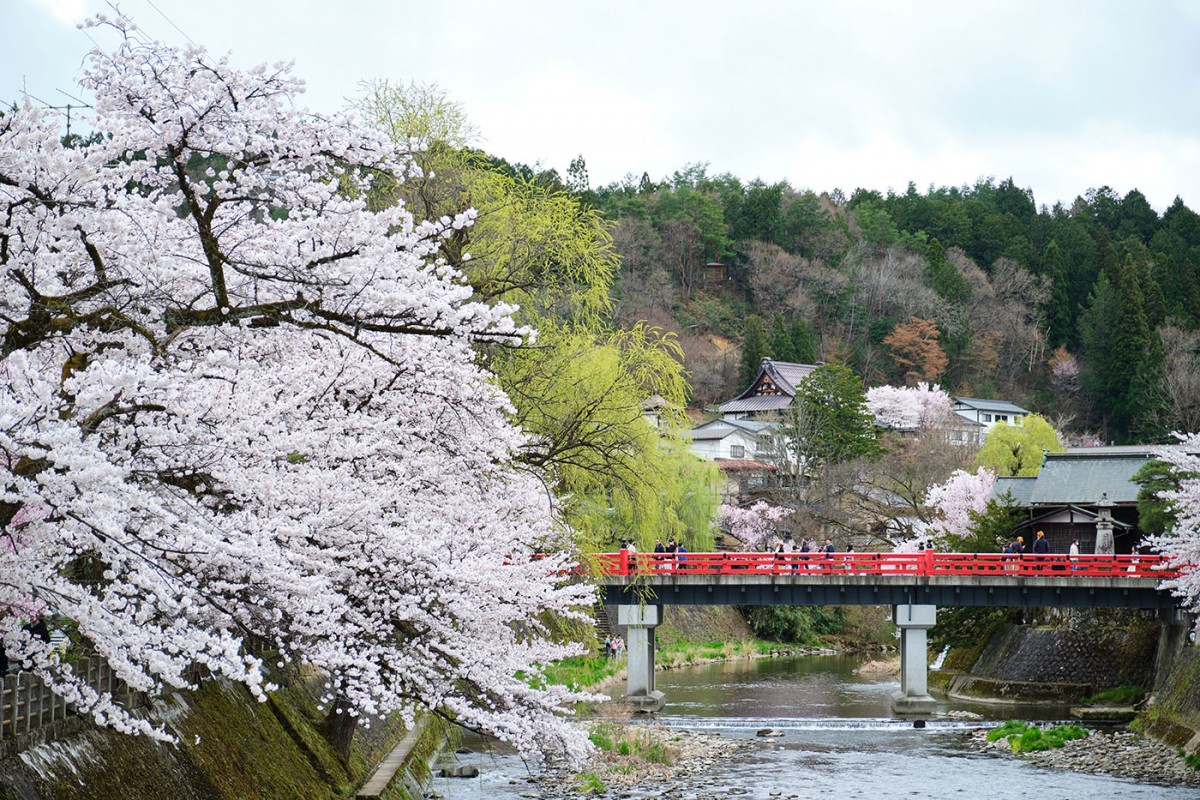 Takayama Takayama
