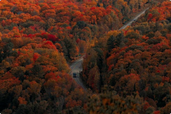 Algonquin Park