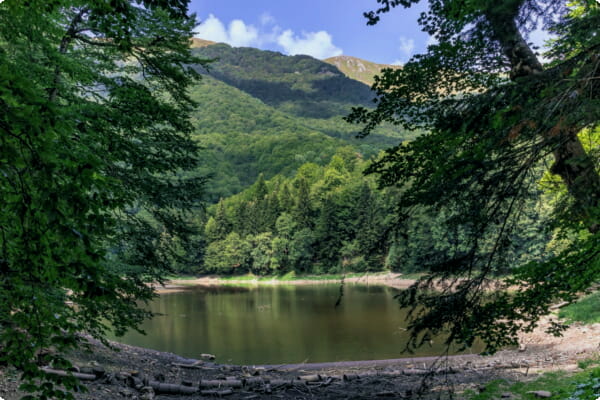 Biogradska Gora Nationalpark 