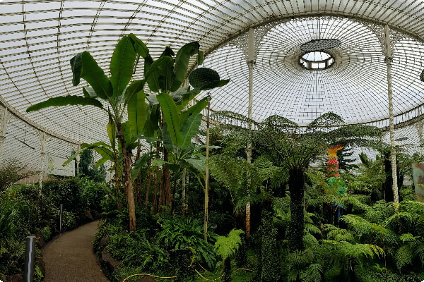 Botanisk have