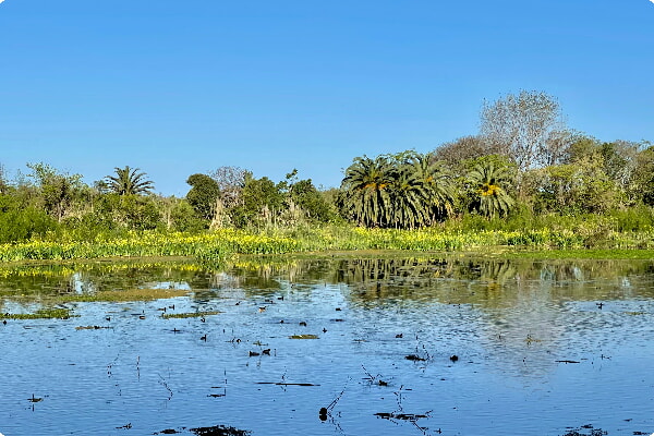 Rezerwat ekologiczny Costanera Sur