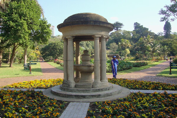 Ботанический сад Дурбана