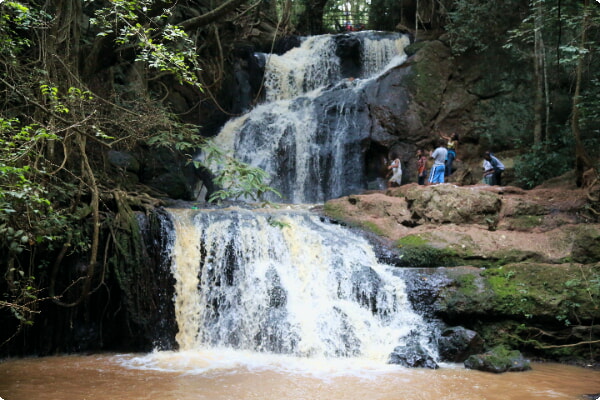 Karura Forest