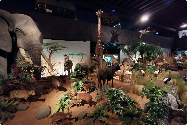 Natuurhistorisch museum