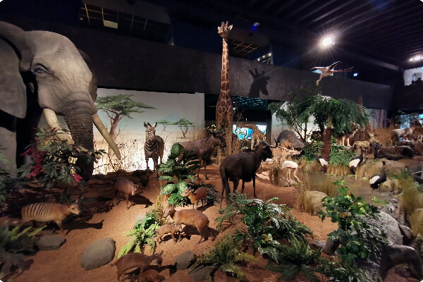 Museu de História Natural