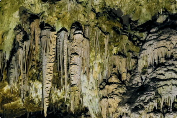 Grotte de Postojna