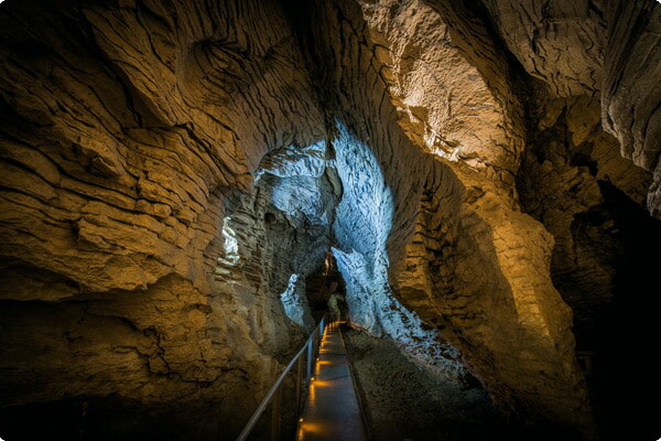 Jaskinie Waitomo Nowa Zelandia